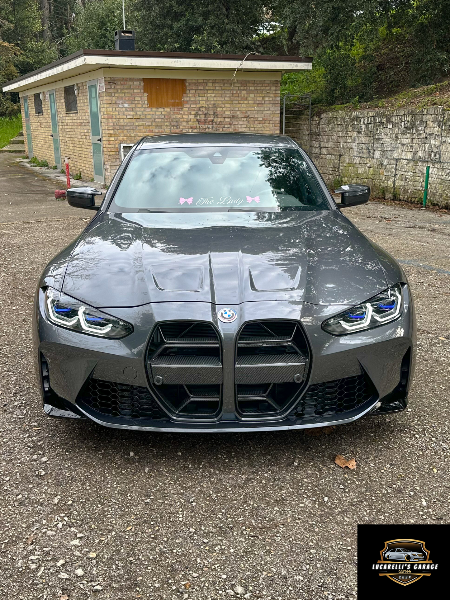 Griglia Bmw M CSL