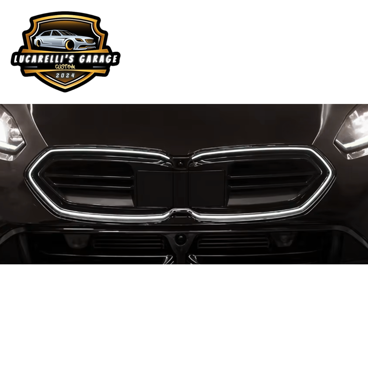 Griglia LED Illuminata BMW Serie 1/ Serie 2